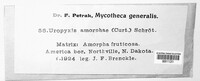 Uropyxis amorphae image